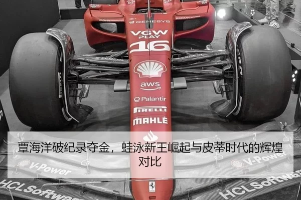 tan-hai-yang-po-ji-lu-duo-jin-wa-yong-xin-wang-jue-qi-yu-pi-di-shi-dai-de-hui-huang-dui-bi-2-298.jpg