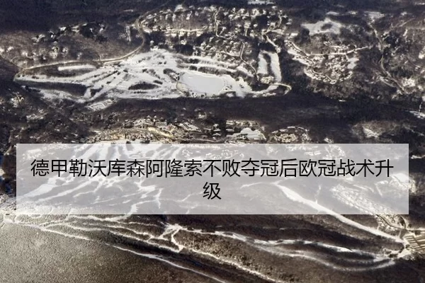 德甲勒沃库森阿隆索不败夺冠后欧冠战术升级