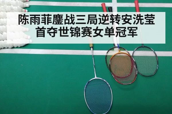 陈雨菲鏖战三局逆转安洗莹首夺世锦赛女单冠军