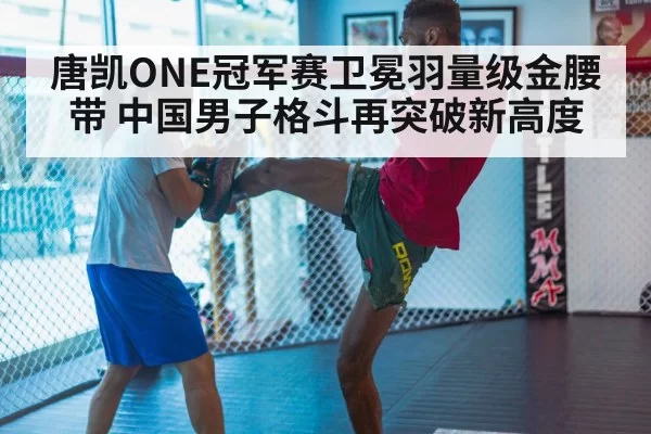 mma training gym